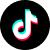 TikTok Icon